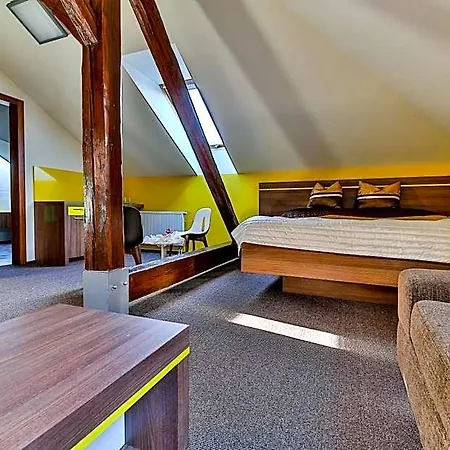 Hotel Aurelie Velké Losiny