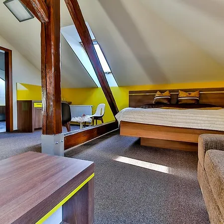 Aurelie Hotel Velké Losiny