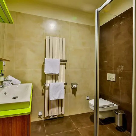 Aurelie 3* Velké Losiny