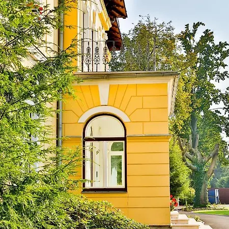 Aurelie Velké Losiny