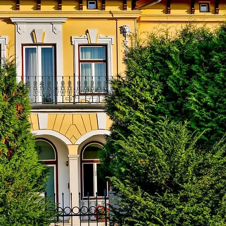 Aurelie Velké Losiny